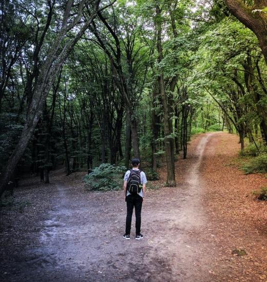 A student with a backpack stands at the fork of a divided path.