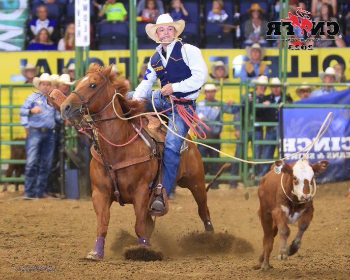 A competitor in a rodeo lassos a calf while riding a horse.